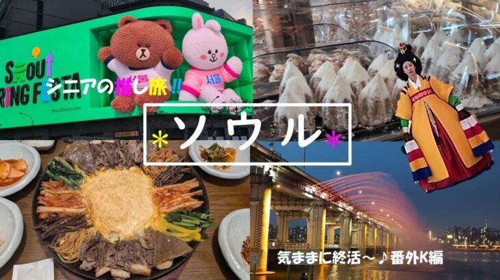 【シニア旅vlog番外K編】推し旅♪ソウル　今回もグルメ多めの渡韓備忘録＃望遠市場＃ヌビバッグ＃チャドルバギ「韓美屋」＃スタバ京東1960店　＃ヘチカーで漢江噴水ショー