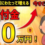 【緊急速報 !】 年金 で叶える「夢の上乗せ」？ 毎月10万円プラス！あなたの未来を変える選択の徹底ガイド【 在職老齢年金 】