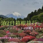 1泊2日のシニア夫婦の箱根旅行　〜ゆっくりのんびり旅〜