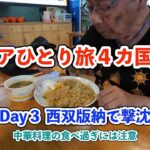 【シニア一人旅2025夏編】雲南省西双版納で撃沈 20250626