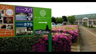 シニア夫婦南信州・安曇野・白馬村の絶景と癒しの温泉を訪ね気ままな4泊5日の旅 (2025.5.12 – 5.16 ) 五日目(最終日)、Day5.