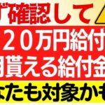 【シニア世代必見】給付金•補助金5選｜年金生活者支援給付金制度｜高年齢雇用継続基本給付金｜高年齢再就職給付金｜再就職手当｜高齢者住宅改修費用助成制度｜支給要件｜給付金額とは