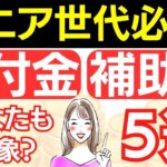 【シニア世代必見】給付金•補助金5選｜年金生活者支援給付金制度｜高年齢雇用継続基本給付金｜高年齢再就職給付金｜再就職手当｜高齢者住宅改修費用助成制度｜支給要件｜給付金額とは