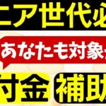 【シニア世代必見】給付金•補助金5選｜年金生活者支援給付金制度｜高年齢雇用継続基本給付金｜高年齢再就職給付金｜再就職手当｜高齢者住宅改修費用助成制度｜支給要件｜給付金額とは