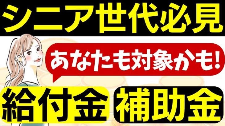 【シニア世代必見】給付金•補助金5選｜年金生活者支援給付金制度｜高年齢雇用継続基本給付金｜高年齢再就職給付金｜再就職手当｜高齢者住宅改修費用助成制度｜支給要件｜給付金額とは