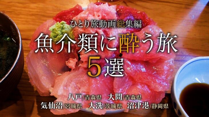 【シニアひとり旅】ぜひ行ってほしい！魚介類が旨い居酒屋の動画5選🍺｜八戸・大間・気仙沼・大洗・沼津港｜崖っぷちシニアひとり旅 vol.32
