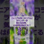 【シニア女性１分コラム】ラベンダーが気になる時、心は何を求めてる？#シニア #60代 #シニア女性 #ラベンダー #紫 #ラベンダーコーデ #色の心理学 #ファッション #癒し #雑学 #shorts