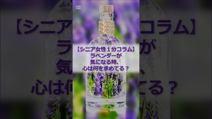 【シニア女性１分コラム】ラベンダーが気になる時、心は何を求めてる？#シニア #60代 #シニア女性 #ラベンダー #紫 #ラベンダーコーデ #色の心理学 #ファッション #癒し #雑学 #shorts
