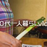 【60代一人暮らし】年齢を重ねても心豊かに/食材2つでこんなにおいしい/豆腐とねぎのうま煮【シニアライフ】#271