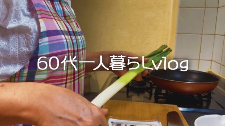 【60代一人暮らし】年齢を重ねても心豊かに/食材2つでこんなにおいしい/豆腐とねぎのうま煮【シニアライフ】#271