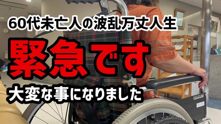 【60代一人暮らし】緊急です　大変な事になりました【シニアVlog】