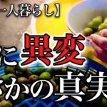 【70代一人暮らし】知らないと怖い熱中症の原因と対策にハッとしました【シニアライフ】