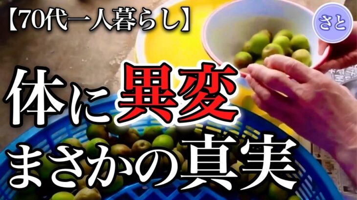 【70代一人暮らし】知らないと怖い熱中症の原因と対策にハッとしました【シニアライフ】
