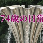 【年金シニアの現実】74歳の日常