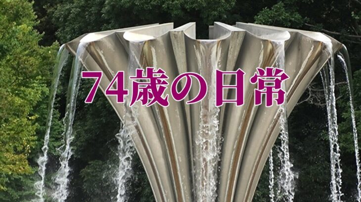 【年金シニアの現実】74歳の日常