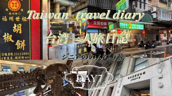 【台北】シニア一人旅日記　DAY7 ＃60代＃アロフト台北中山＃ひとり旅＃国立台湾博物館＃雙城街夜市＃OOTD