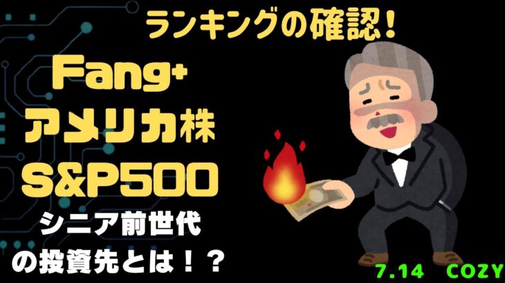 【Fang+アメリカ株・S&P500・新NISA】シニア前世代ランキング！変化はある？暴騰or暴落？7.14