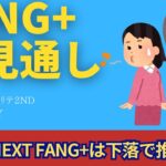 【新NISA】7.01FANG+の見通し｜iFreeNEXT FANG+下落で推移！シニア前世代のランキングはハイリスク！？