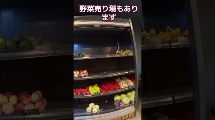 トビリシの精肉店とアジア食材店SAKURA　海外年金生活チャンネル＃ジョージア#プチ移住海外#シニアYouTuber#シニアVlog海外年金生活チャンネル