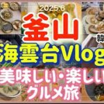 釜山【海雲台】Vlog  美味しい　楽しいグルメ旅（初夏）
