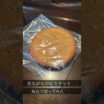 シニア一人旅日記」#day2 #60歳代 #台灣台北 #旅行 #vlog #シニア