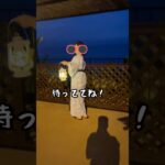 夏の海に出かけたよ#shorts #60代 #国内旅行#60代主婦 #60代の暮らし #60代youtuber #鹿児島 #指宿 #らら #rara #シニア旅行記 #九州 #九州観光