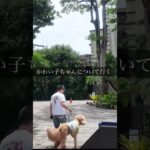 台北シニア一人旅