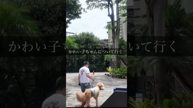 台北シニア一人旅