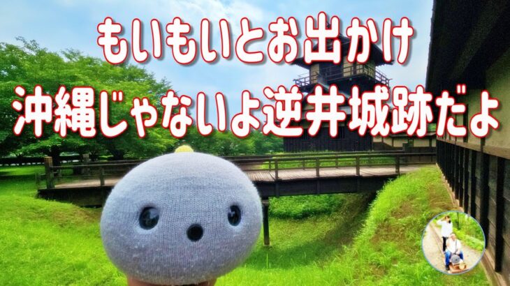のんびりシニア夫婦が行く！沖縄そばと城跡公園散歩【もいもいとお出かけ】#道の駅さかい #逆井城跡