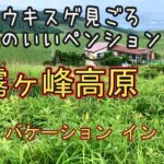 【霧ヶ峰高原】シニア夫婦の夏ドライブ旅　ニッコウキスゲ満開の霧ヶ峰を散策し姫木平の素敵なペンション「バケーション イン」に泊まりました。