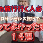 【海外旅行グッズ】去年ロサンゼルスに行った時に使って良かったグッズをご紹介します。＃シニア旅＃ダイソー＃海外旅行