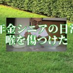【年金シニアの日常】喉を傷つけた