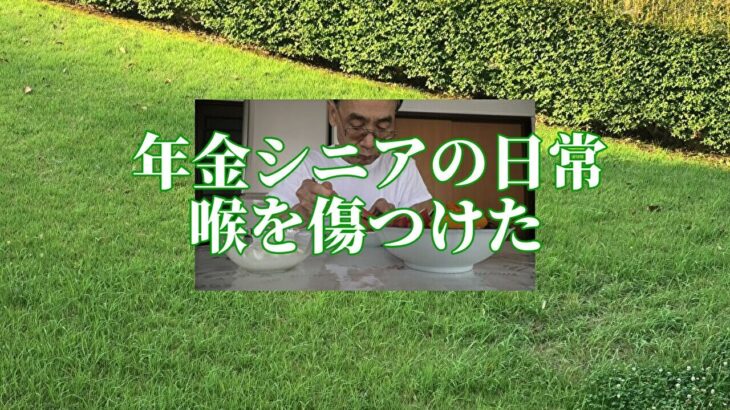 【年金シニアの日常】喉を傷つけた