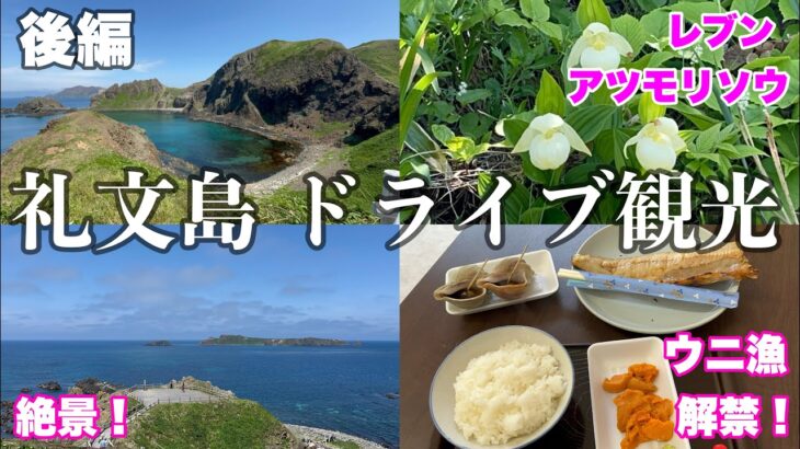 【字幕】＃北海道　離島旅 ⑧ #礼文島 　＃ドライブ観光　後編　絶景！桃台展望台・スコトン岬・スカイ岬・トド島展望台・金田の岬・レブンアツモリソウ群生地・香深フェリーターミナル・母娘旅　＃シニア