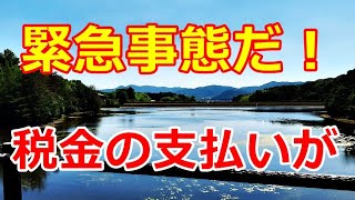 【シニアライフ】のらりくらり年金生活　我が家の緊急事態だ！税金の支払い額が…【のらりくらり年金生活チャンネル】