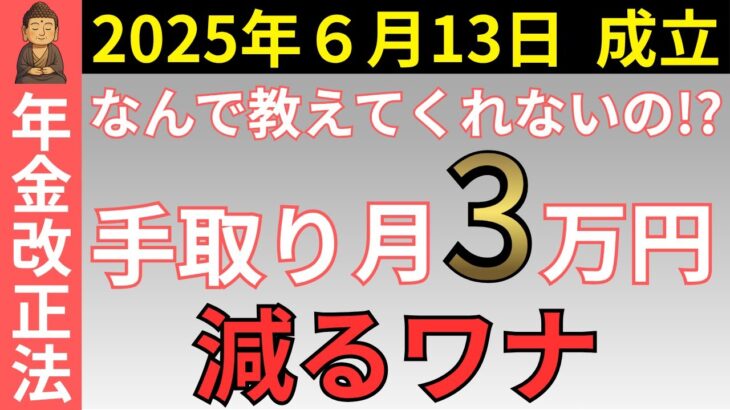 【年金制度改正】年金が増えるはずが手取り減！？知らないと損する落とし穴