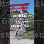 【わかし家・夫婦旅行】シニア夫婦の青森旅 最終日｜種差海岸とうみねこと、そろそろ帰り道‼ #シニア夫婦の旅  #青森旅行 #癒し旅
