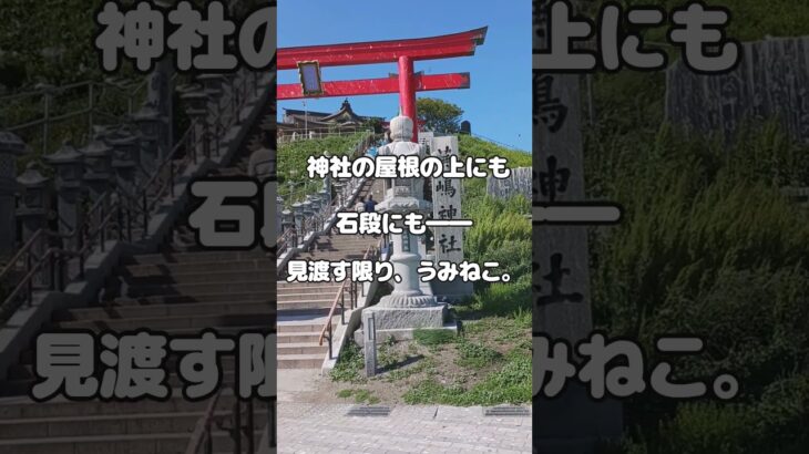 【わかし家・夫婦旅行】シニア夫婦の青森旅 最終日｜種差海岸とうみねこと、そろそろ帰り道‼ #シニア夫婦の旅  #青森旅行 #癒し旅