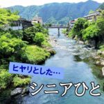 郡上八幡  ヒヤリとした …シニアひとり旅