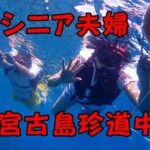 シニア夫婦が行く宮古島旅行は半分は雨模様だった