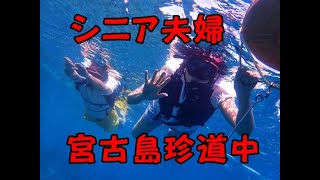 シニア夫婦が行く宮古島旅行は半分は雨模様だった