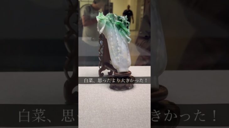 #シニア #旅行 #台灣台北 #vlog #60歳代 ＃故宮博物院＃マンゴーかき氷＃アロフト台北中山