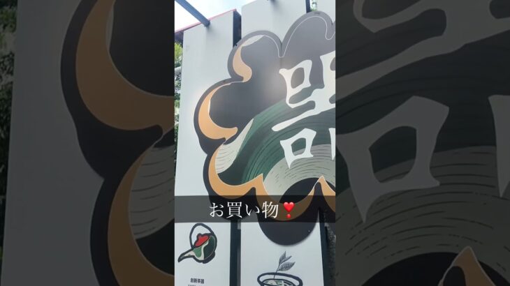 シニアの台北一人旅 #シニア #旅行 #台灣台北 #旅行vlog #60歳代 ＃白水豆花＃永楽街＃西門＃カルフール＃夜市