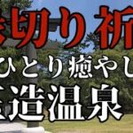 《旅vlog》《60代ひとり暮らし》熟年離婚/女ひとり旅#60代 #シニア #旅行 #熟年離婚 #50代 #ひとり旅 #旅行vlog