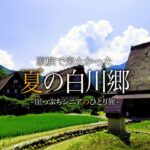 【シニアひとり旅】憧れの白川郷に泊まる👒 その最適な歩き方とは？｜崖っぷちシニアひとり旅 vol.31｜CURIO白川郷/白水園/和田家/神田家/飛騨牛食べ処 てんから：岐阜県