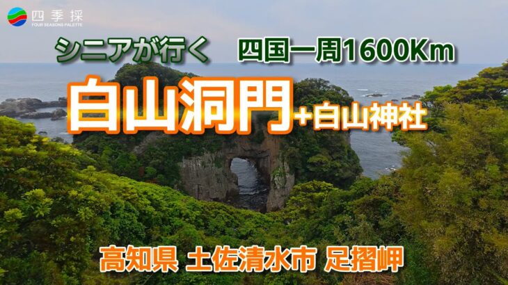シニアが行く四国一周1600Km白山洞門｜高知県の天然記念物