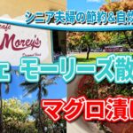 シニア夫婦の節約＆自炊ハワイ旅　2025　カフェモーリーズ散歩　マグロ漬け丼