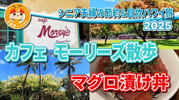 シニア夫婦の節約＆自炊ハワイ旅　2025　カフェモーリーズ散歩　マグロ漬け丼