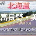 富良野・美瑛（2025.夏）日帰り旅