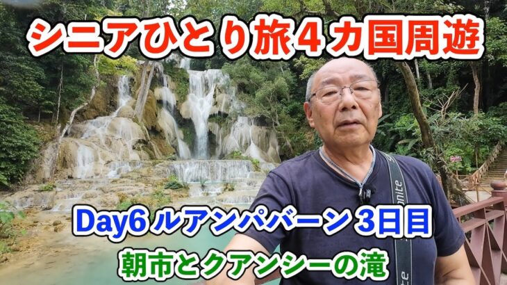 【シニア一人旅2025夏編】ルアンパバーンで朝市散策とクアンシーの滝 20250629